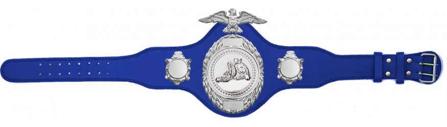 JIU JITSU CHAMPIONSHIP BELT-PLT288/S/JJS-4 COLOURS JIU JITSU CHAMPIONSHIP BELT-PLT288/S/JJS-4 COLOURS